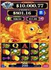 110V Rakin Bacon Slot Machine Board Video Skill Casino Slot Games